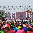 금일읍-2 이미지