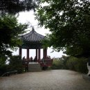 비래초등학교 이미지