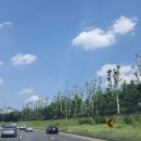 경희하림한의원 이미지