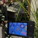 광성사우나 | 이수역 돈까스 맛집 온미정에서 김치우동나베+등심카츠세트와 직화생연어덮밥(아부리사케동)후기