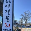 속초어장물회 | [강원도/속초]물회가 맛있던 속초어장물회 다녀온 후기