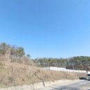 안성식품