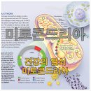 R2(알스퀘어드) 신제품 출시 ! 신체적 정신적 성적 젊음을 유지시켜주는 제품!| 이미지