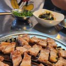 꽃돼지바람났네 이미지