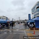 제천역 관광안내소 | 제천 빨간오뎅 축제 솔직 방문기