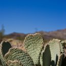 이마트약국 이미지