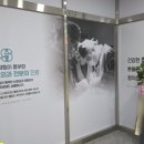 인강신경외과의원 네이버블로그