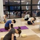 조이오브요가 - 마포구 토정로 8-7 | 아산자세교정 / 풍세운동 - 임산부에게 좋은 요가, 주의할점 다섯가지