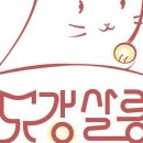 고양이무마취미용 묘갱살롱 이미지