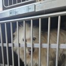 충청남도 계룡시 금암동 180-1 이미지