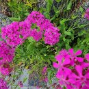 운악산주차장 화장실 이미지