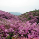지리산미네 Daum카페