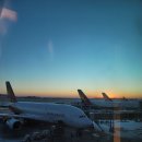 72번가 | 2026.1월 미국 - Day 1 (뉴욕: JFK, 센트럴파크, 덤보, 줄리아나 피자)