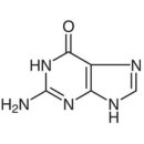 G0169 이미지