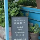 2692 | 남해카페 백년유자 본점 가서 상큼한 유자에이드와 유자몽에이드 즐기고 온 후기🍋🍊🥭