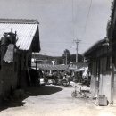 간성시장 이미지