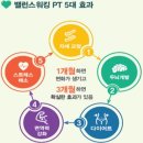 신체밸런스코리아