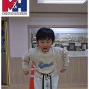 용인대 H 태권도장 이미지