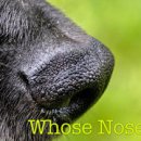 Whose Nose? 이미지