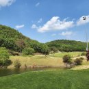 리버힐 | 가성비 좋은 안동리버힐CC 안동리첼호텔 1박2일골프패키지 정보 라운딩후기