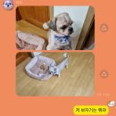 이쁘개멋있개 이미지