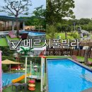 메르시애견펜션 | 부산 근교 울산 애견동반펜션 메르시풀빌라 대형견 가능 수영장