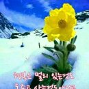 마음 이미지