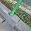 부성1동 행정복지센터 이미지