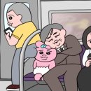 빤쮸 이미지