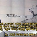 랩독 이미지