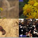 장터자동차공업사 이미지