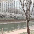 도두머리공원 이미지