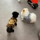 몽스토랑 이미지