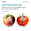 냠냠