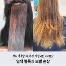 엠제이뷰티 이미지