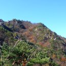남산 Daum카페