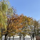 대장2구 | e편한세상 부천 대장 퍼스티움 신혼희망타운 옵션 계약 후기(꿀팁+선택한 이유와 선택하지 않은 이유)