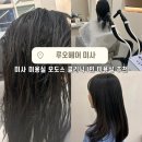 미사미용실 하남미용실 루오헤어 :: 모도스 클리닉 받고 온 솔직 후기