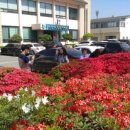 성주읍사무소 이미지