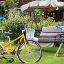 별빛소나타 이미지