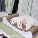 메가디자인소파 | 펫타임즈 메가 스크래쳐 대형 67cm 후기, 소파처럼 쓰는 리필형 스크래쳐