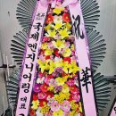 한결플라워서비스 이미지