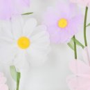 젤리빈스튜디오 이미지
