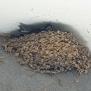 영종자동차공업사 이미지