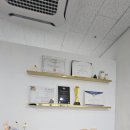 스튜디오유르