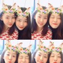 여우두마리