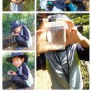 나경이네 이미지