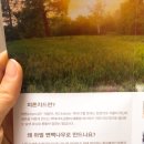 홀리퓨어