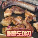 배봉도야지