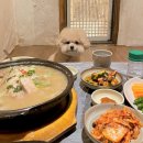 궁상각치우 이미지